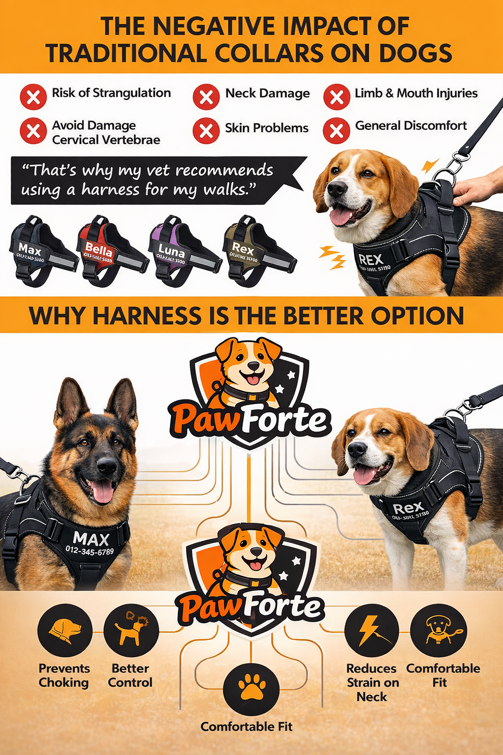 Personalized No Pull Dog Harness